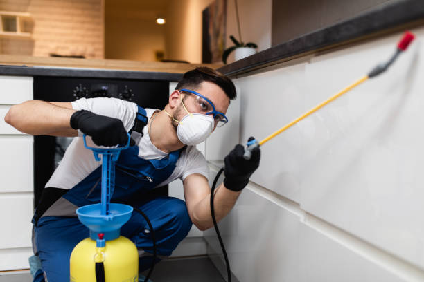 Best Best Pest Control Companies  in Decatur, TX