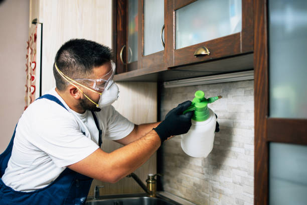 Professional Pest Control in Decatur, TX