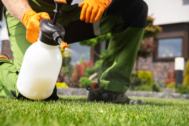 Wildlife Control Services in Decatur, TX