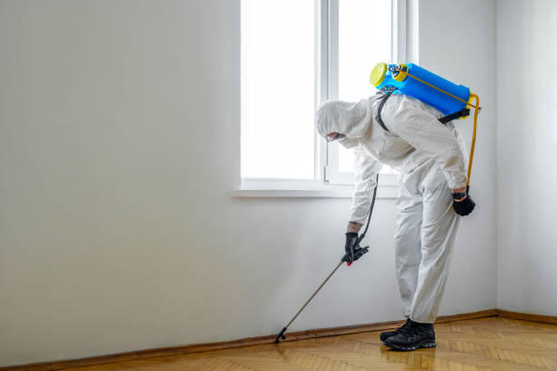 Best Residential Pest Control  in Decatur, TX