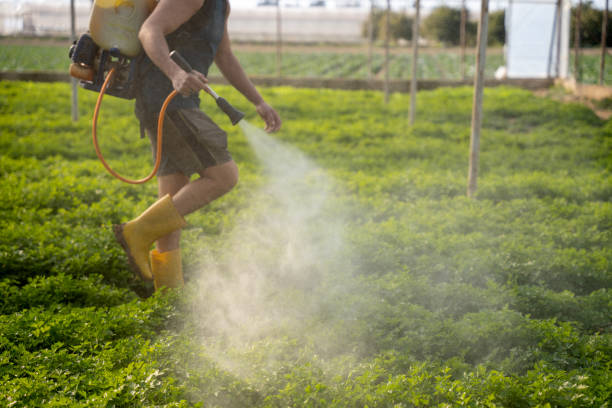 Best Commercial Pest Control Services  in Decatur, TX