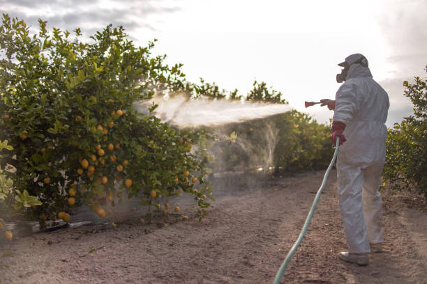 Best Pest Control Near Me  in Decatur, TX