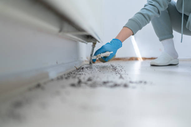 Pest Control for Restaurants in Decatur, TX