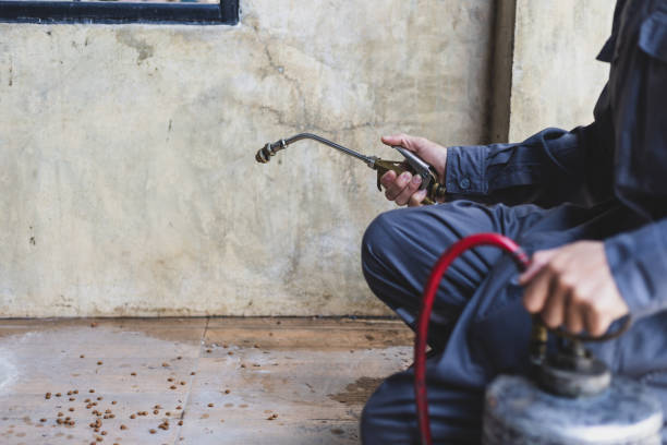 Best Ant Control Services  in Decatur, TX